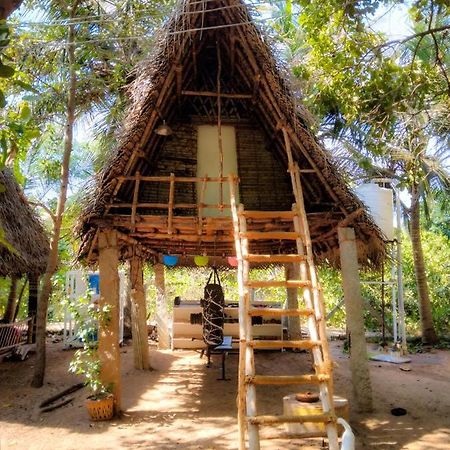 Hostel Peace Garden Auroville Exteriér fotografie