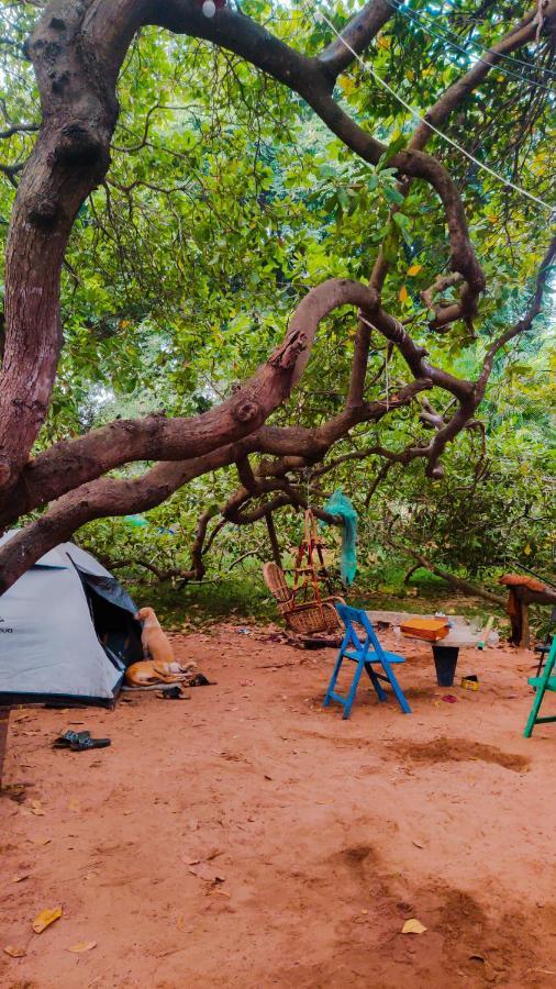 Hostel Peace Garden Auroville Exteriér fotografie