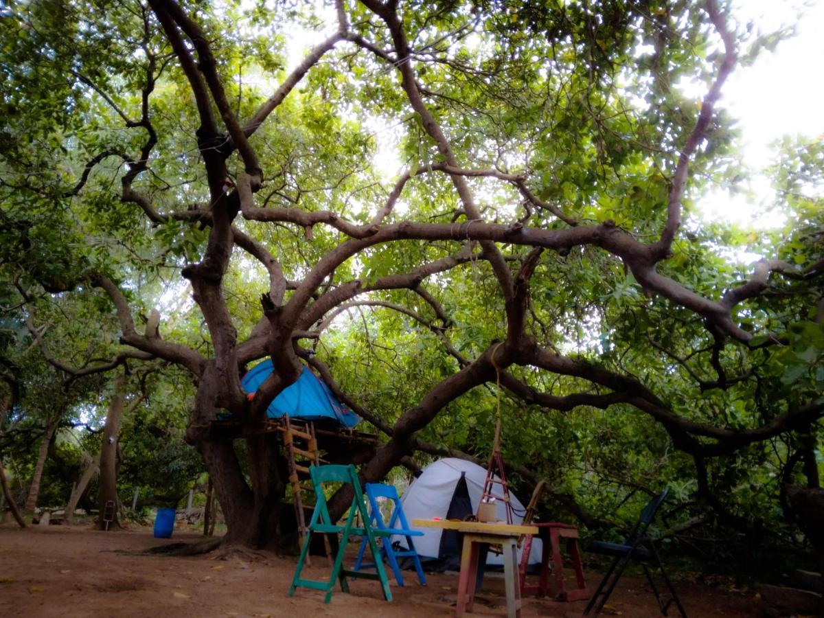 Hostel Peace Garden Auroville Exteriér fotografie